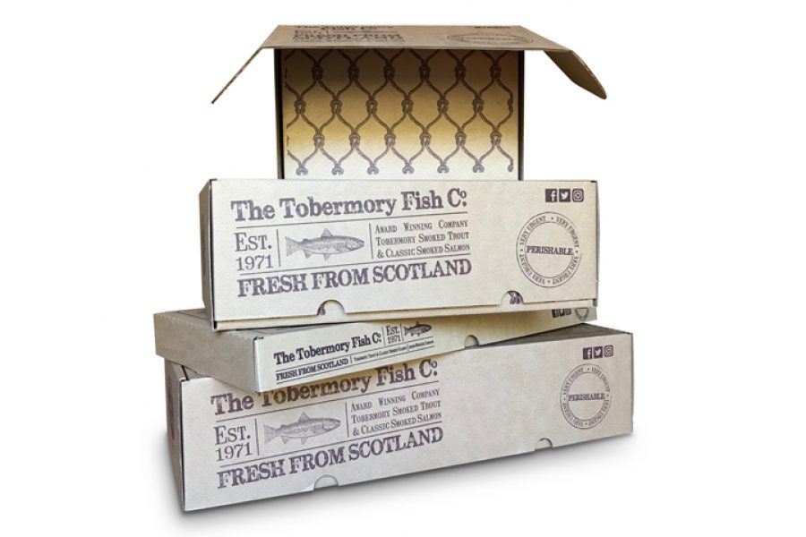 Packaging design development
